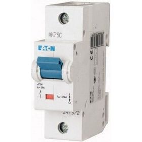 Eaton 15kA-D eğrisi-1x100A Minyatür Devre Kesici