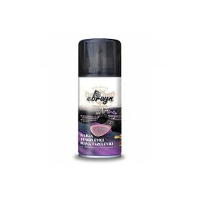 Ebrayn 150 ml Oto Klima Temizleyici