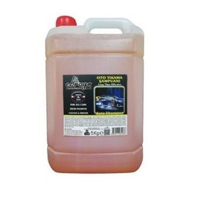 Ebrayn 5 lt Oto Şampuanı