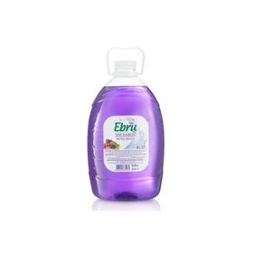 Ebru Meyve Rüyası 4 lt Sıvı Sabun
