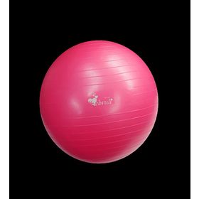 Ebru Pilates Topu