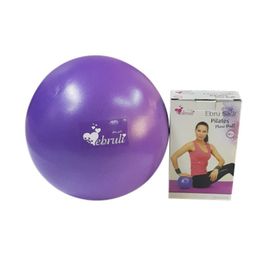 Ebruli Mor 20 cm Mini Pilates Topu
