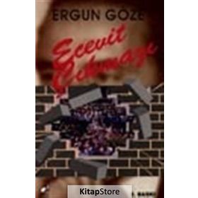 Ecevit Çıkmazı - Ergun Göze