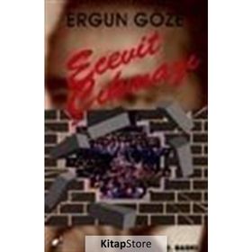 Ecevit Çıkmazı - Ergun Göze