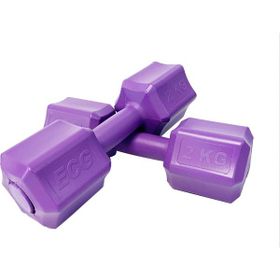 Ecgspor 2x2 kg Altıgen Mor Dambıl Seti