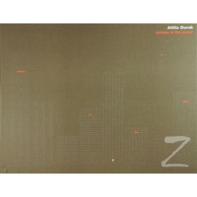 ECHOES OF THE STREET - KOLEKTIF