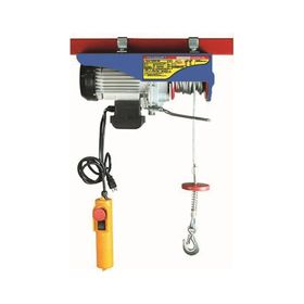 Echolift 125 250 kg Kapasiteli Mini Elektrikli Vinç
