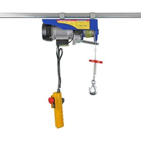 Echolift 400 800 kg Mini Elektrikli Vinç