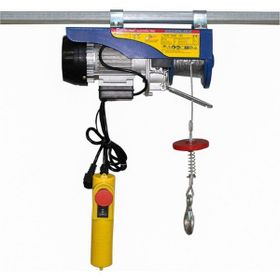 Echolift 400 800 kg Mini Elektrikli Vinç
