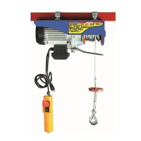 Echolift 500 1000 kg Mini Elektrikli Vinç