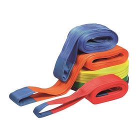 Echolift 6 Ton Polyester Sapan