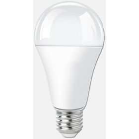 Ecolite A80 16 Watt E27 6500K Led Classic Ampul