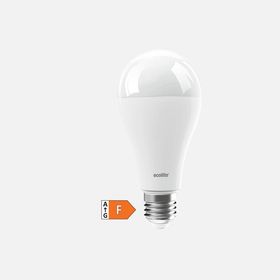 Ecolite Şarjlı 9 Watt Sarı Işık 3000K Led Ampul