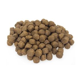 Econature Kuzu Etli Yetişkin 1 kg Açık Köpek Maması