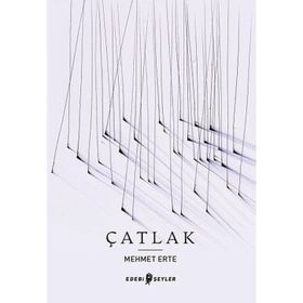 Edebi Şeyler Çatlak