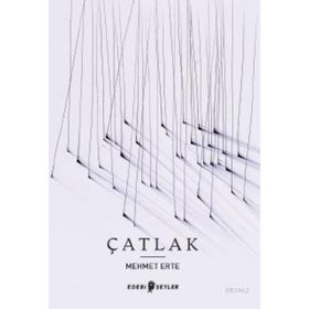 Edebi Şeyler Çatlak