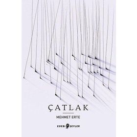 Edebi Şeyler Çatlak