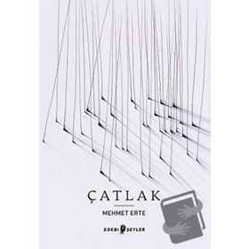 Edebi Şeyler Çatlak