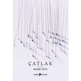 Edebi Şeyler Çatlak