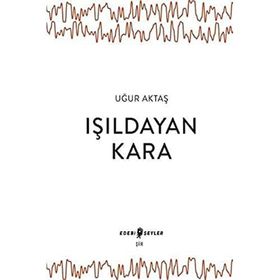 Edebi Şeyler Işıldayan Kara