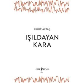 Edebi Şeyler Işıldayan Kara