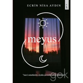 Edebiyat Yazıları - Ecrin Nisa Aydın