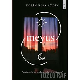 Edebiyat Yazıları - Ecrin Nisa Aydın
