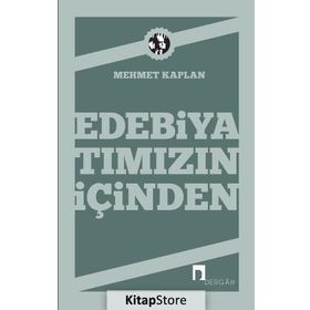 Edebiyatımızın İçinden - Mehmet Kaplan