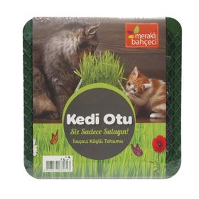 Eden Zirai Kedi Otu
