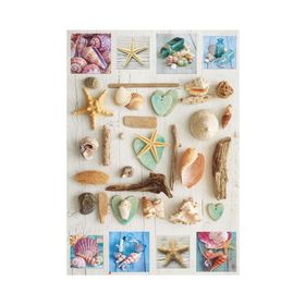 Educa 17658 1000 Parça Deniz Kabukları Puzzle