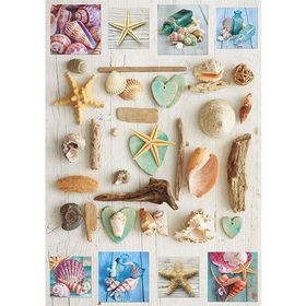Educa 17658 1000 Parça Deniz Kabukları Puzzle
