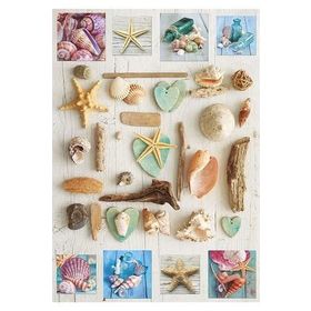 Educa 17658 1000 Parça Deniz Kabukları Puzzle