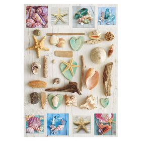 Educa 17658 1000 Parça Deniz Kabukları Puzzle