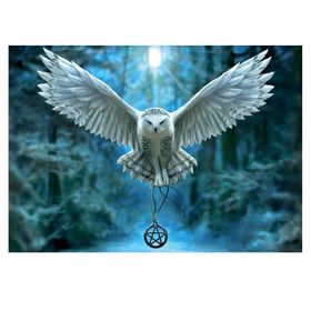 Educa 17959 500 Parça Awake Your Magic Puzzle