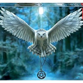 Educa 17959 500 Parça Awake Your Magic Puzzle