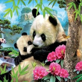 Educa 17995 1000 Parça Pandaların Sabahı Puzzle