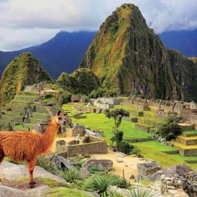 Educa 17999 Antik Machu Pıcchu Peru Şehri 1000 Parça Puzzle