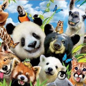 Educa 18117 1000 Parça Lama Drama Selfie Puzzle