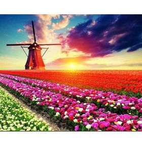Educa 18465 1500 Parça Lale Manzarası Puzzle