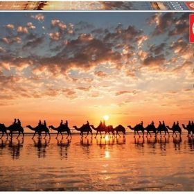 Educa 18492 Cable Beachte Günbatımı Develer 1000 Parça Puzzle