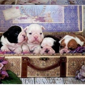 Educa 500 Parça Yavru Köpek Puzzle