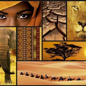 Educa Afrika Renkleri 1000 Parça Puzzle