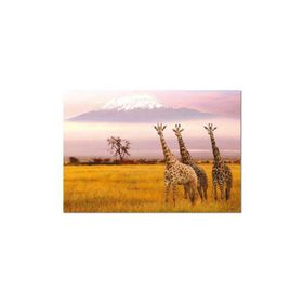 Educa Amboseli National Park Kenia 1000 Parça Puzzle
