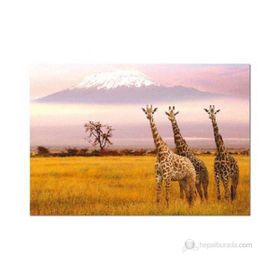 Educa Amboseli National Park Kenia 1000 Parça Puzzle