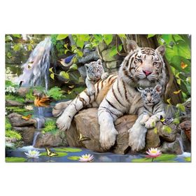 Educa Bengal White Tigers-EDU14808 Puzzle