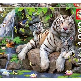 Educa Bengal White Tigers-EDU14808 Puzzle