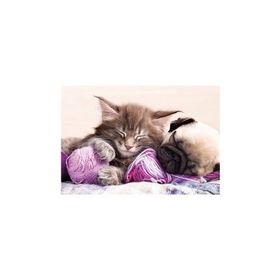 Educa Dream Companions 500 Parça Puzzle
