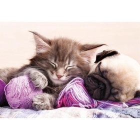 Educa Dream Companions 500 Parça Puzzle