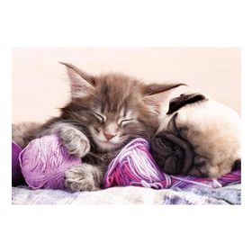 Educa Dream Companions 500 Parça Puzzle