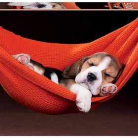 Educa Durmiendo En La H 500 Puzzle